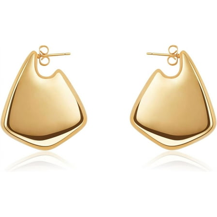 Chunky Big Fin Drop Gold/Silver Statement Earrings for Women Fin Drop Hoop Earrings Women Fashion Jewelry Gift