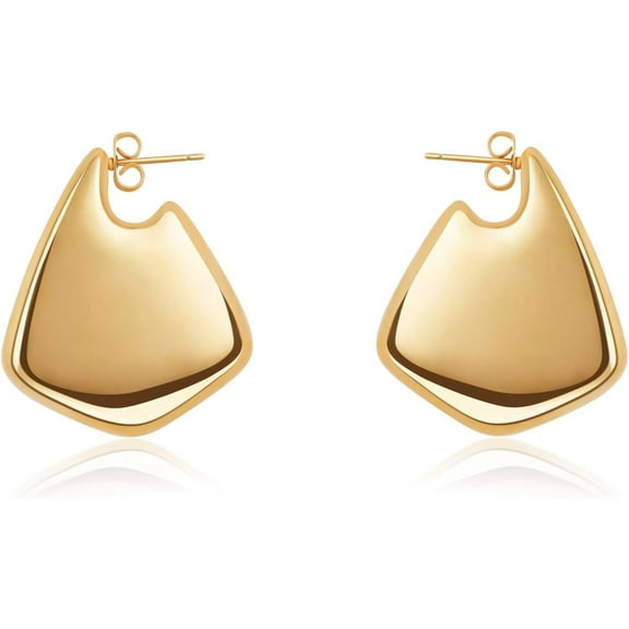 Chunky Big Fin Drop Gold/Silver Statement Earrings for Women Fin Drop Hoop Earrings Women Fashion Jewelry Gift