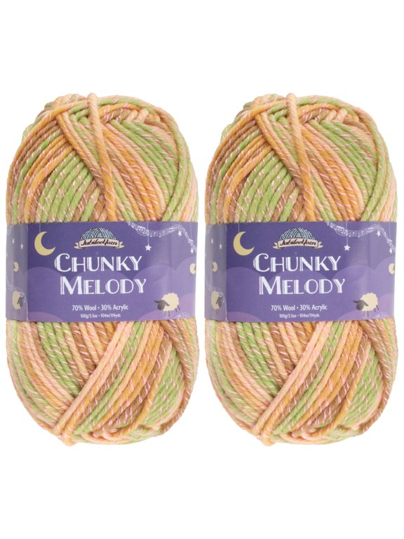 JubileeYarn Chunky Melody Yarn - 100g/Skein Bulky Wool Blend - Juice Box - 2 Skeins