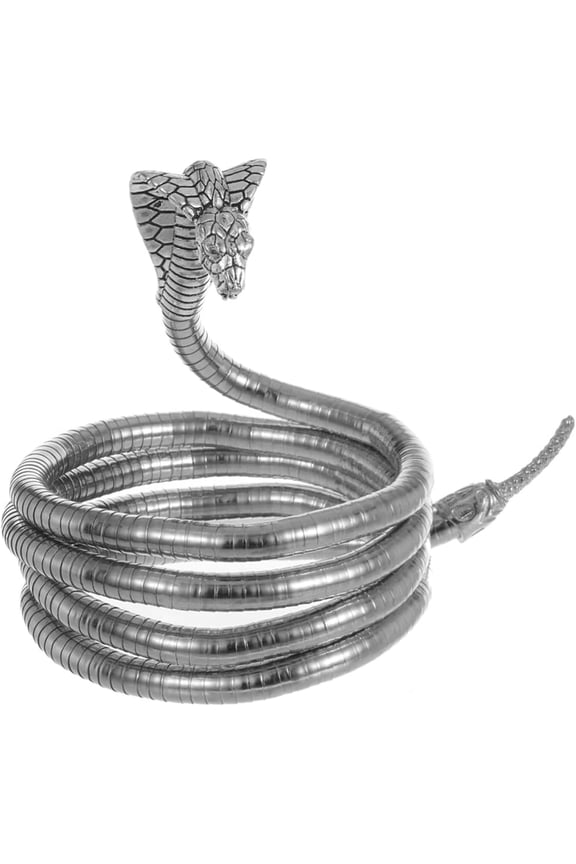 Chunky Silver Rattlesnake Choker Necklace, Adjustable Gothic Punk Hip-Hop Collar Necklace, Unique Design Statement Jewelry Gift for Women