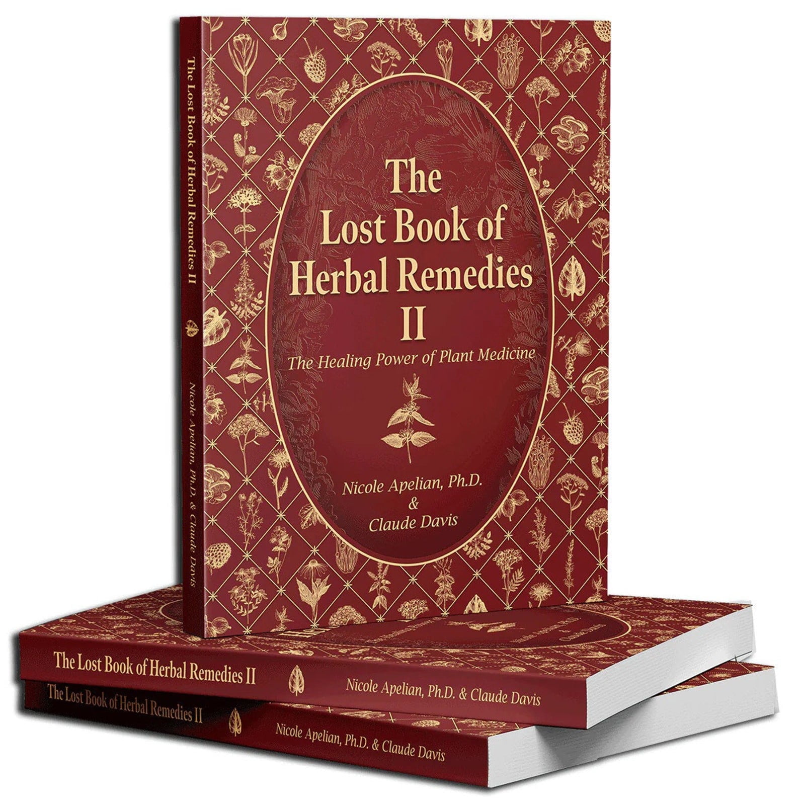 Chuny Clearance The Lost Book of Herbal Remedies II A Practical Guide