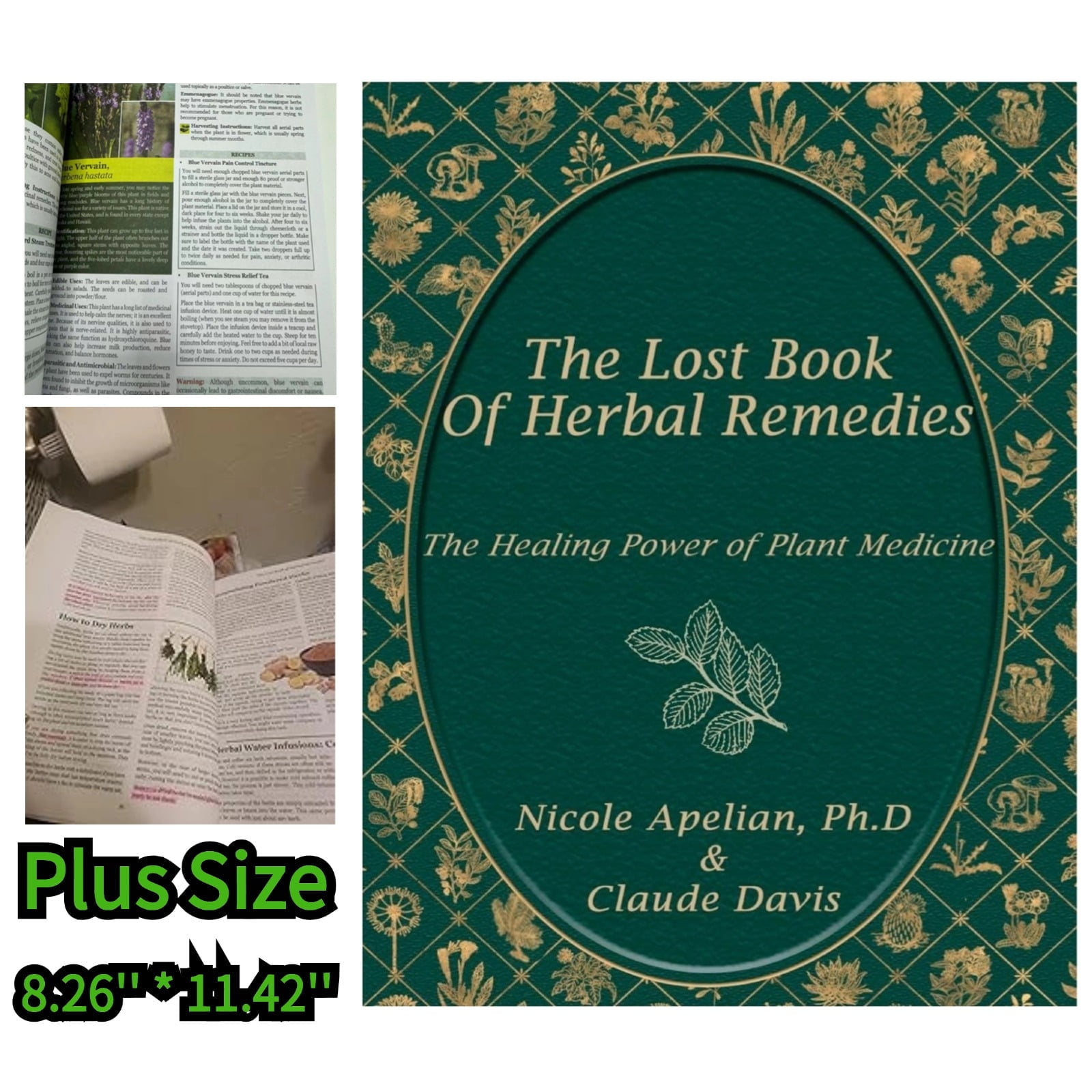 Chuny The Lost Book of Herbal Remedies Explore the World of Medicinal