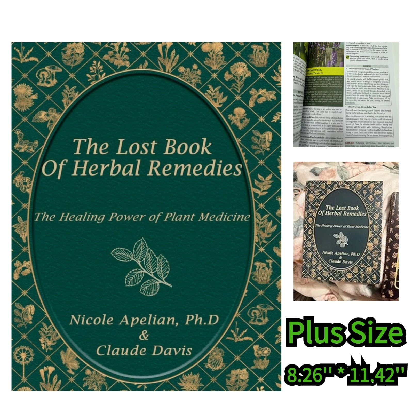 Chuny The Lost Book of Herbal Remedies Empower Yourself with Natural