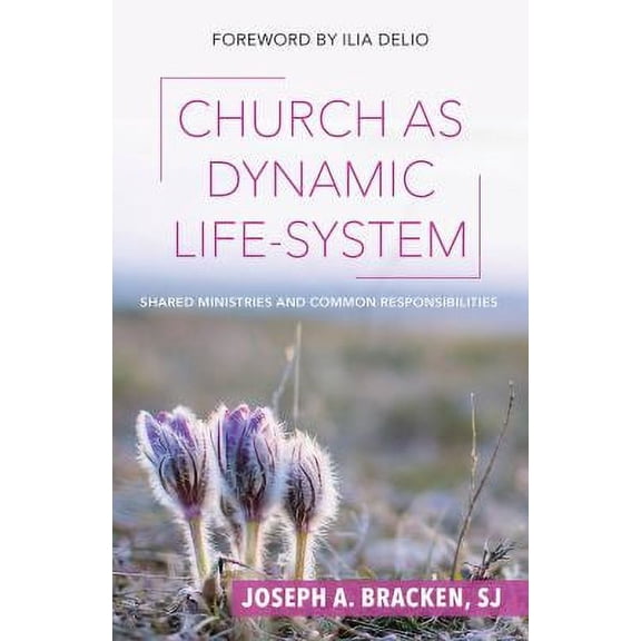 Pre-Owned Church as Dynamic Life-System: Shared Ministries and Common Responsibilities (Paperback) by Joseph A Bracken, Ilia Delio