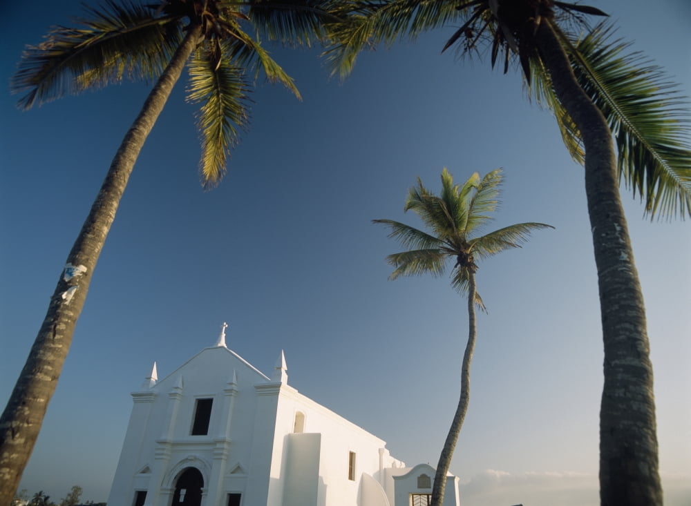Church Of Santo Antonio Beneath Palm Trees Low Angle View Canvas Art - Ian Cumming Design Pics (36 x 26)