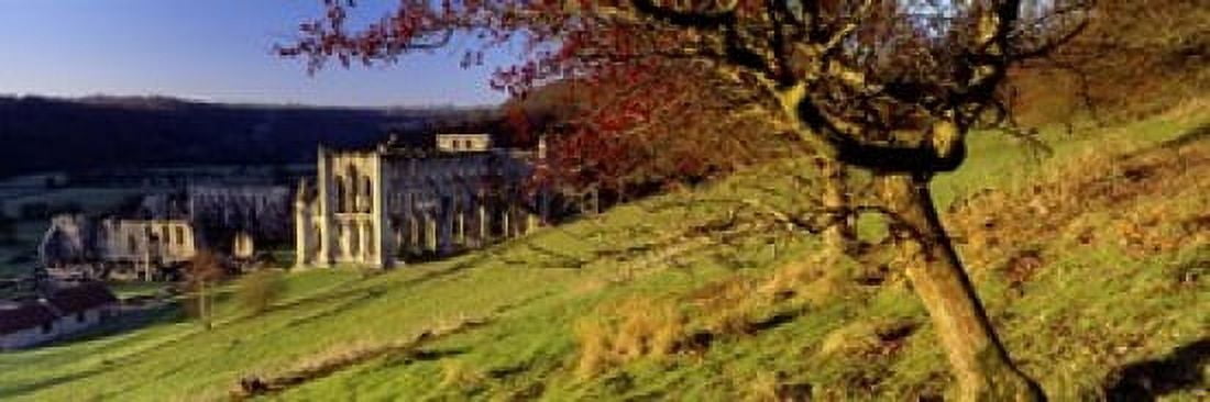 Church On A Landscape Rievaulx Abbey North Yorkshire England United Kingdom Canvas Art - Panoramic Images (18 x 6)