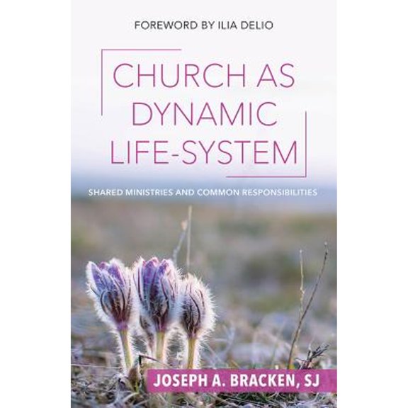 Church as Dynamic Life-System: Shared Ministries and Common Responsibilities (Paperback)