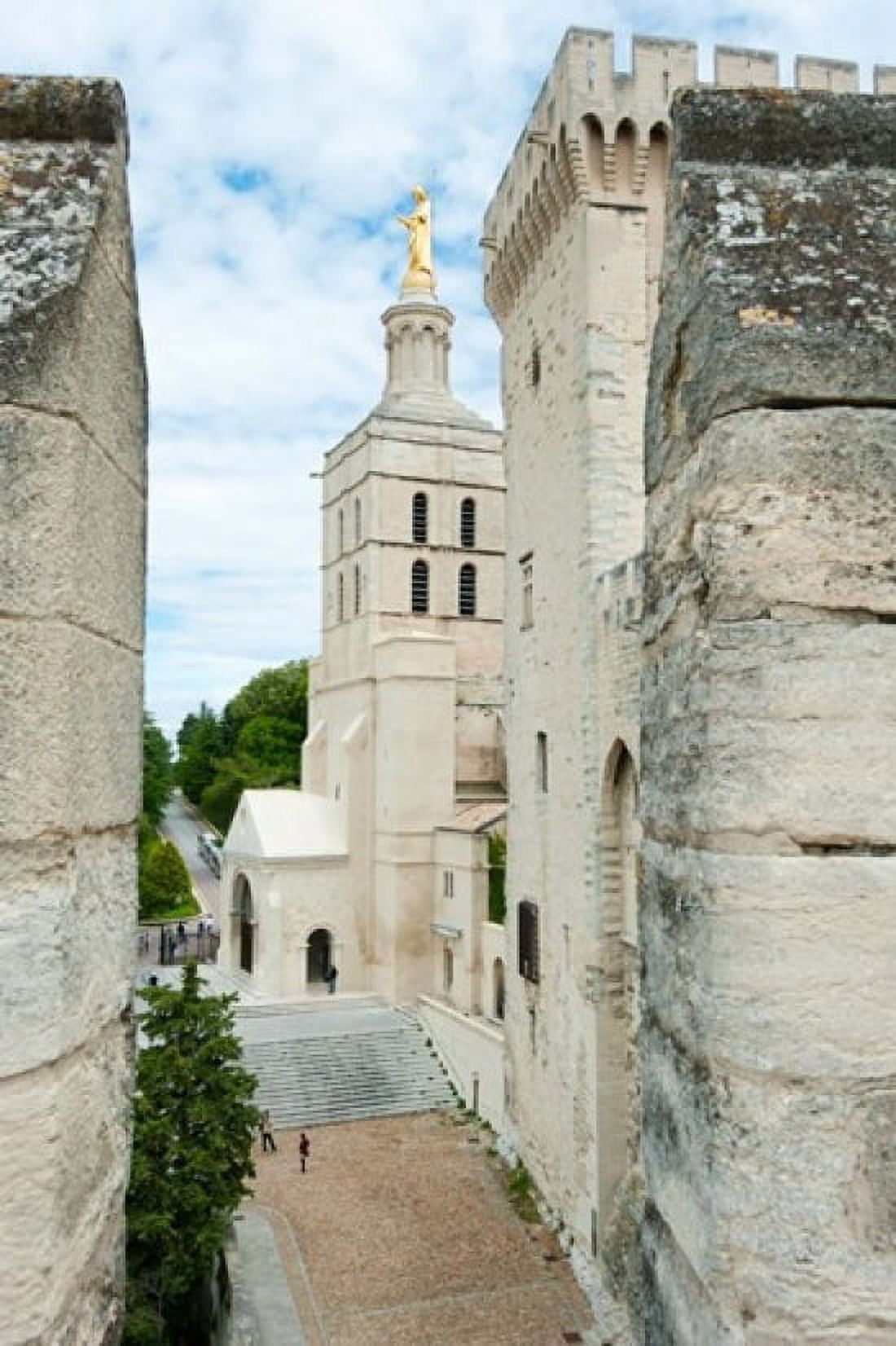 Church in a city Cathedrale Notre-Dame des Doms dAvignon Palais des Papes Provence-Alpes-Cote dAzur France Canvas Art - Panoramic Images (24 x 36)