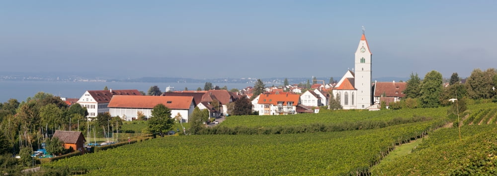 Church of St Johann Baptist in a vineyard Hagnau Am Bodensee Lake Constance Baden-Wurttemberg Germany Canvas Art - Panoramic Images (36 x 12)
