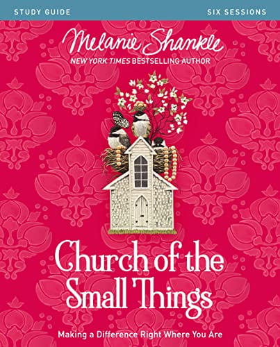 Pre-Owned Church of the Small Things Bible Study Guide: Making a Difference Right Where You Are (Paperback) 0310081343 9780310081340