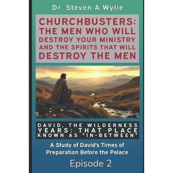 Churchbusters: The Men Who Will Destroy David: The Wilderness Years (That Place Known as "In-Between") - A Study of David's Times of Preparation Before the Pala, Book 2, (Paperback)