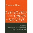 thumbnail image 1 of Churches and the Crisis of Decline (Hardcover), 1 of 1
