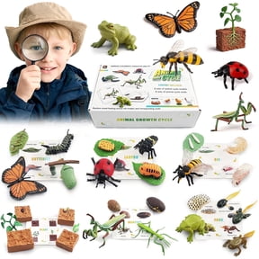 Chuvikid Animal Life Cycle Kit,Montessori Science Matching Game with Butterfly,Plant,Educational Toy Gift for Kids Ages 3-8