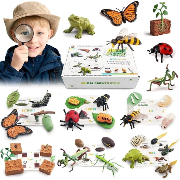 Chuvikid Animal Life Cycle Kit,Montessori Science Matching Game with Butterfly,Plant,Educational Toy Gift for Kids Ages 3-8