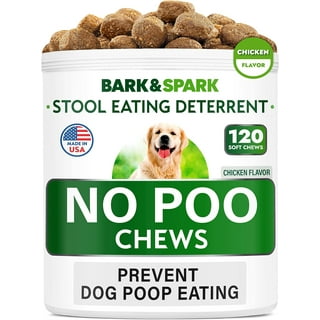 Dog eat 2024 poop medicine