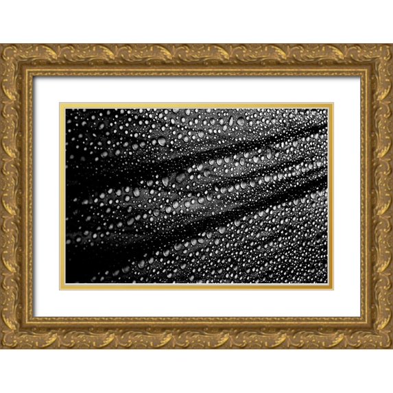 Ciappara Lrps., Simon 18x13 Gold Ornate Wood Framed with Double Matting Museum Art Print Titled - Cultured Rain Pearls
