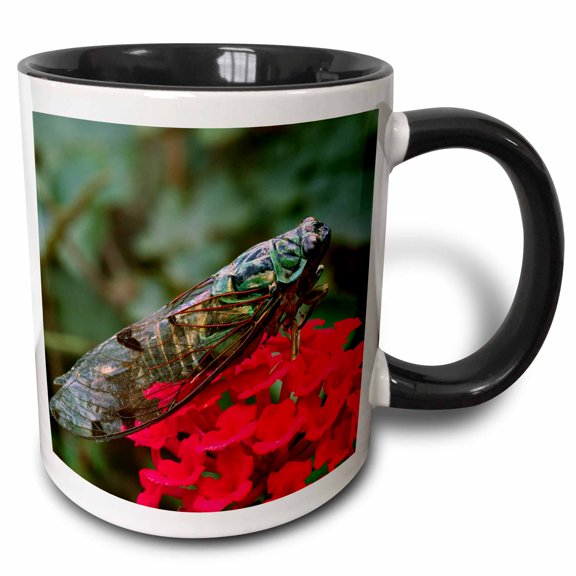 3drose, Cicada, Bug, Member of Family Cicadidae, Insect - Na01 Csl0001 - Charles Sleicher, 11oz Two-tone Black Mug