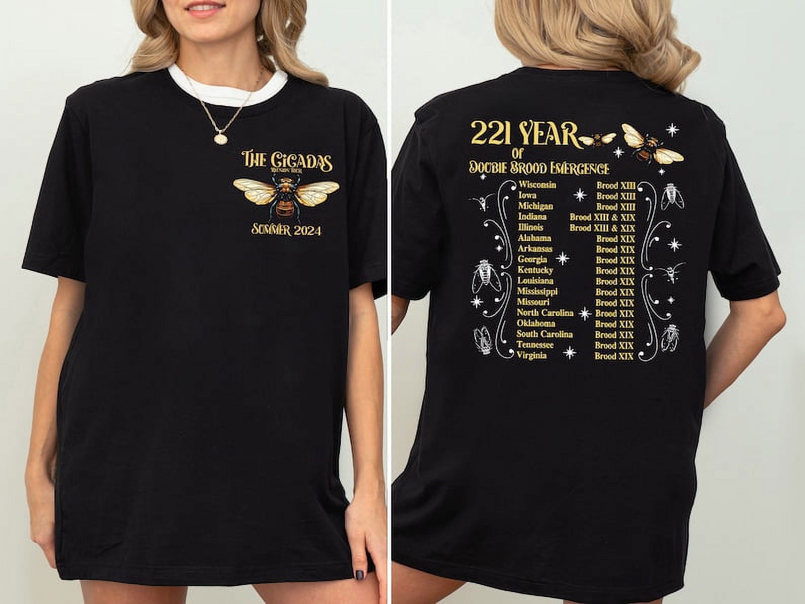 Cicada Concert Tour Summer 2024 Shirt, Reunion Tour Concert Shirt