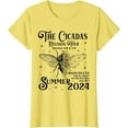 Cicada Reunion U.S Tour 2024 Cicada Concert Fest Lover Tshirt, White
