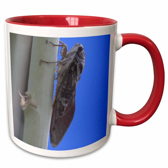 3drose, Cicada Vector, 11oz Two-tone Red Mug