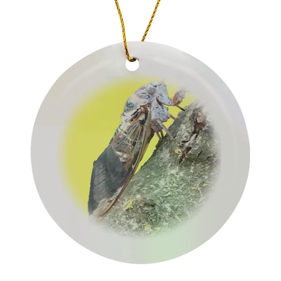 3drose, Cicada Vector, Circle Porcelain Ornament