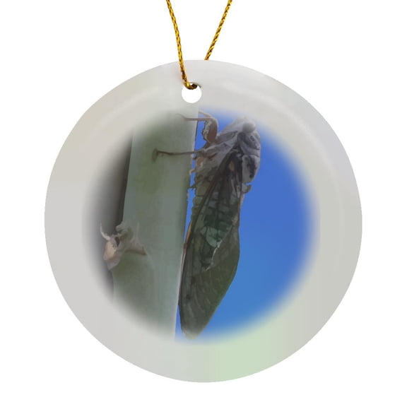 3drose, Cicada Vector, Circle Porcelain Ornament