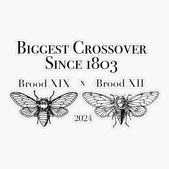 Cicadas Crossover Brood Bug Art Vinyl Decal Sticker
