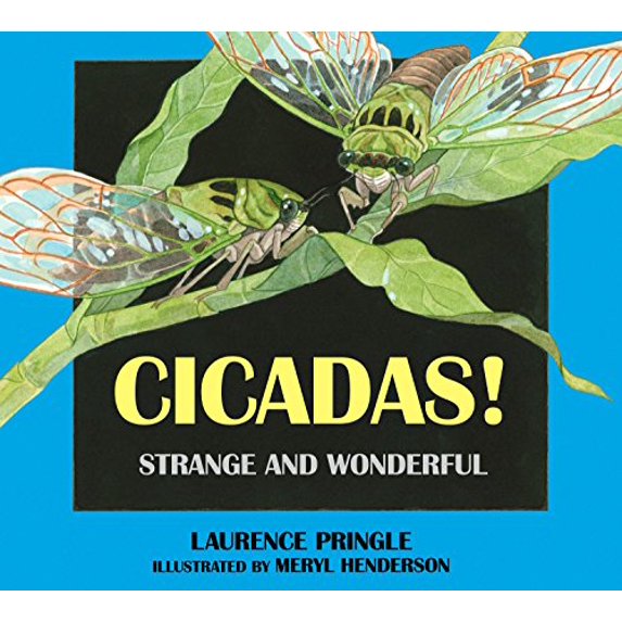 Pre-Owned Cicadas!: Strange and Wonderful Paperback