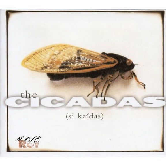 Cicadas