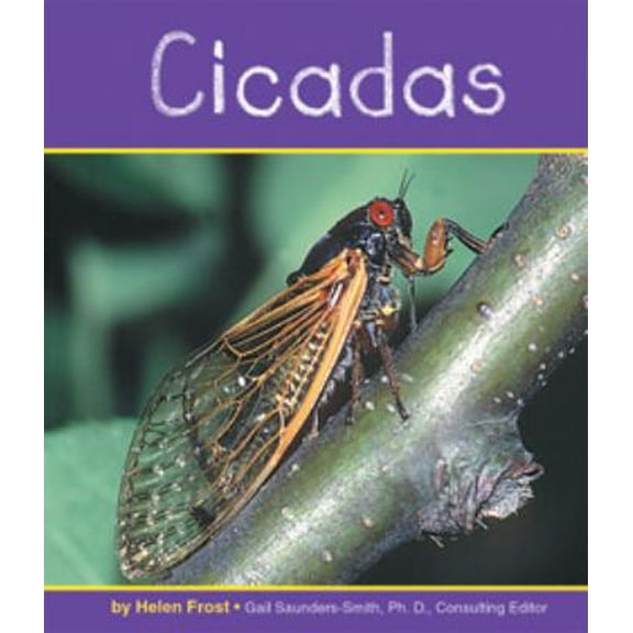 Pre-Owned Cicadas (Paperback) 0736890866 9780736890861