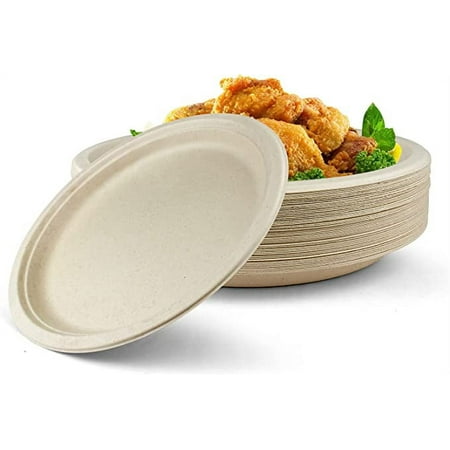 Ciciware 100% Compostable Disposable Paper Plates Food Containers - 60 Pack Natural Disposable Bagasse Eco-Friendly Biodegradable (10 INCH-60PACK)