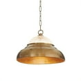 thumbnail image 1 of Cicso 18660 Brass &amp; Glass Hanging Light&amp;#44; 10 in., 1 of 1