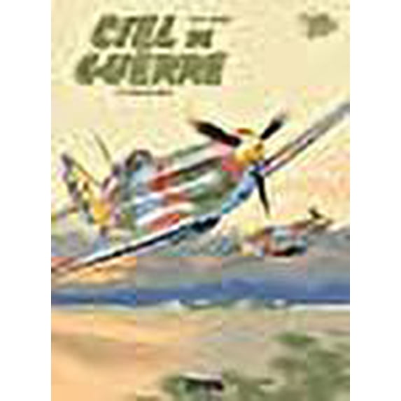 Ciel de guerre, Tome 3 : Alerte en Syrie