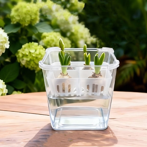 Cififendec Clear Divided Hydroponic Plant Pot with Separate Net Baskets, 4.33", Breathable Visible Root View Water Culture Planter for Tulip Bulbs Indoor Growing