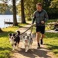thumbnail image 1 of Cififendec Dual Dog Shock Absorbing Leash, 4.92ft, Reflective Bungee Two Way Splitter Walking Rope for Two Dogs Outdoor Hiking Training, 1 of 5