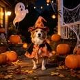 thumbnail image 1 of Cififendec Halloween Pet Witch Cape Hat Set, Pumpkin Adjustable Lightweight Pet Costume for Kitten Small Dog Pet Photo Nook Backyard Holiday Outfit, 1 of 7