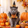 thumbnail image 1 of Cififendec Halloween Pet Witch Hat and Collar Set, Adjustable Lace Bow Neckwear for Pets Festival Party Photo Dress‑Up Accessory, 1 of 6