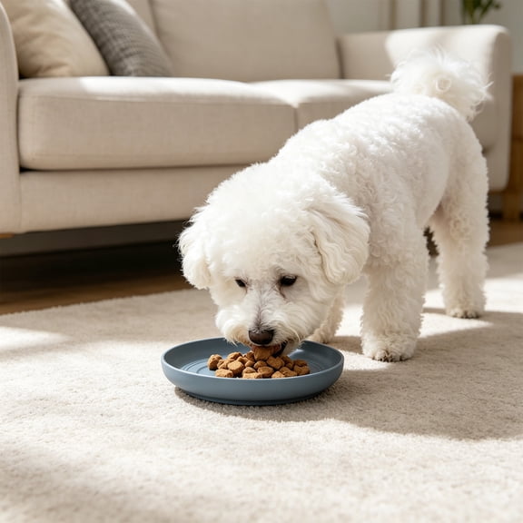 Cififendec Round Plastic Pet Feeding Plate, 5.91", Shallow Food Snack Dish for Cats Small Dogs Indoor Daily Feeding, Blue