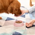 thumbnail image 1 of Cififendec Thickened Plastic Pet Bowl Non-Slip for Cats & Dogs - Thickened Water Dish with Wide Base, Pet Feeder Non Spill for Indoor Pets, 1 of 6