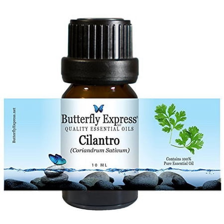 Cilantro Essential Oil 10ml - 100% Pure by Butterfly Express