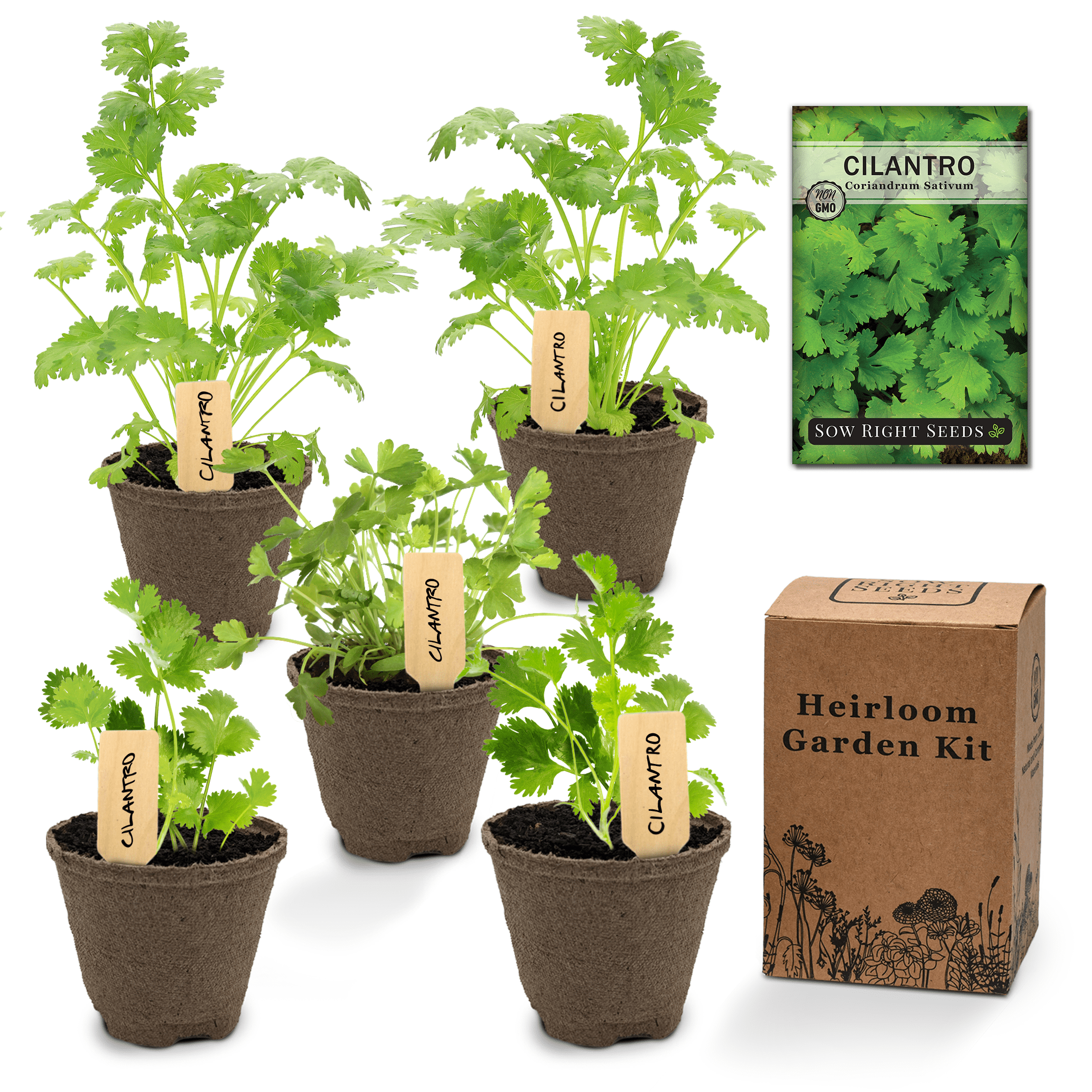 Cilantro Garden Kit Grow Non GMO Cilantro Plants Indoor Herb Garden
