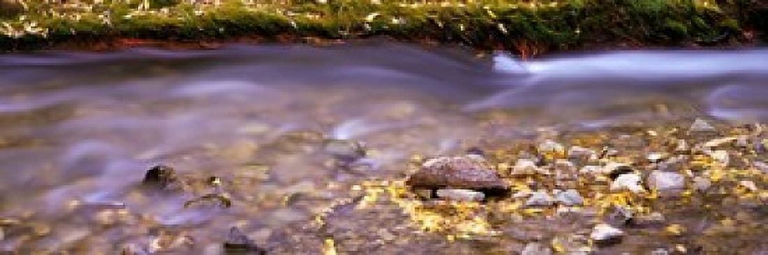 Cimarron Creek New Mexico Canvas Art - Panoramic Images (36 x 12)