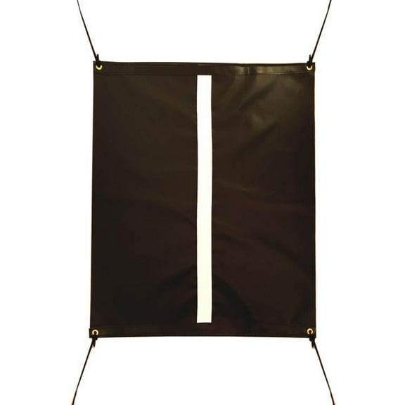 Cimarronsports 10x10x10 Masters Golf Net with Complete Frame (snap pin)