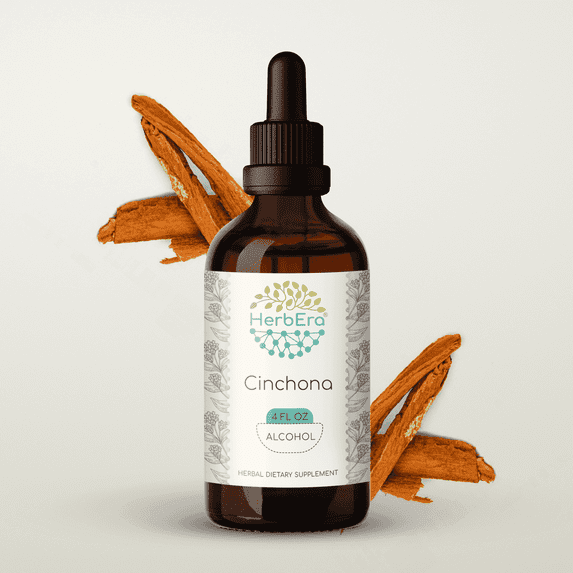 HerbEra Cinchona Tincture, Herbal Dietary Supplement for Immune and General Wellness Support, Cinchona (Cinchona officinalis) Dried Bark Extract, Natural, Alcohol Tincture, Drops 4 oz