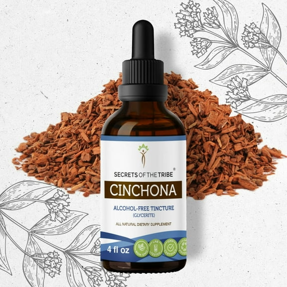 Secrets Of The Tribe Cinchona Tincture Dietary Supplement, Natural Herbal Extract for Immune Support, Cinchona (Quinine, Quine, Cinchona officinalis) Dried Bark, Alcohol-Free Extract, Drops 4 oz