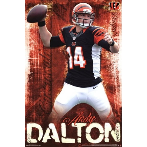 Cincinnati Bengals - Andy Dalton 2013 Laminated Poster Print (22 x 34)