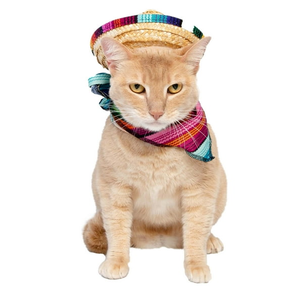 Cinco De Mayo Dog Costume & Cat Costume - 2 Piece Set Mexican Outfit - Mexican Sombrero Hat & Collar - Dog & Cat Sombrero Hat - Dog & Cat Bandana - Mexico Fiesta by Pet Krewe