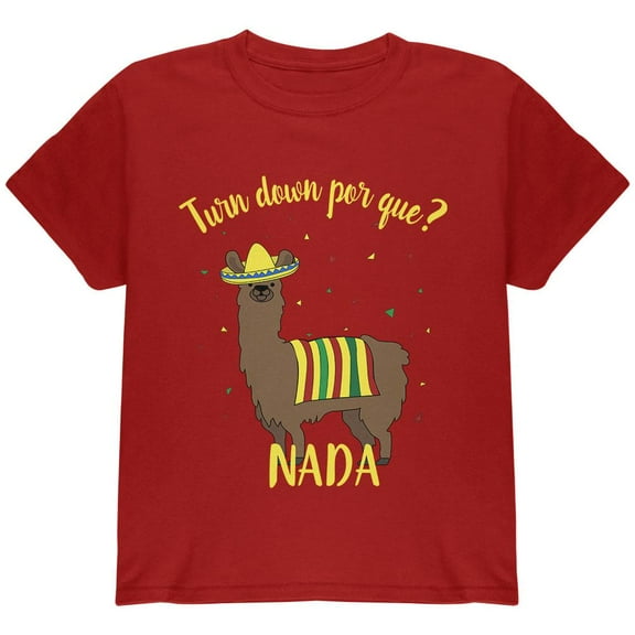 Cinco De Mayo Llama Fiesta Youth T Shirt Red Youth X-SM