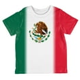 thumbnail image 1 of Cinco De Mayo Mexican Flag All Over Toddler T Shirt Multi 6T, 1 of 2