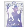Cinderella Cartoon Tapestries Are Used to Personalize Wall Hanging And